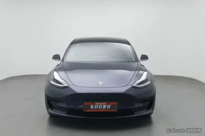 Model 3 2020 Model Facelift Standard Battery Life Rear Drive L Class Edition – фото 1