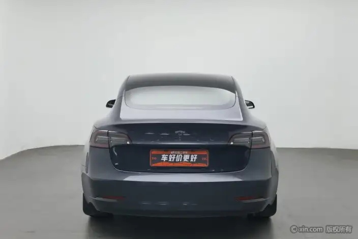 Model 3 2020 Model Facelift Standard Battery Life Rear Drive L Class Edition – фото 2