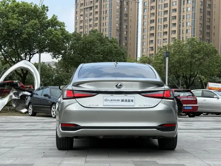Lexus ES 2020 Model 300h Premium – фото 5