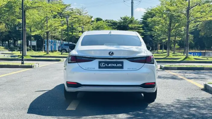 Lexus ES 2020 Model 200 Superior Edition China VI – фото 6