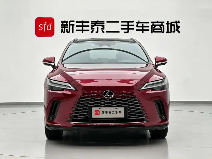 Lexus RX PHEV 2023 Model 450h+ 4WD Changxiang Edition – фото 2