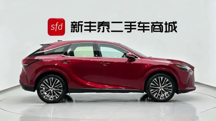 Lexus RX PHEV 2023 Model 450h+ 4WD Changxiang Edition – фото 7