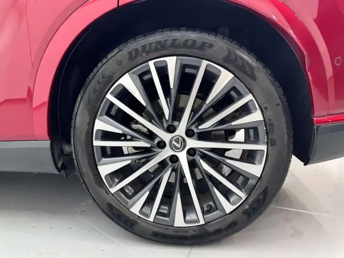 Lexus RX PHEV 2023 Model 450h+ 4WD Changxiang Edition – фото 8