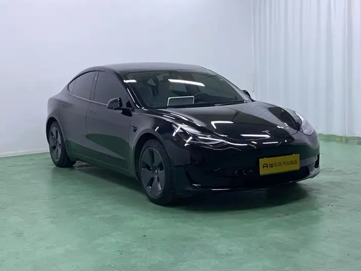 Model 3 2021 Model Standard Battery Life Rear Drive L Class Edition 3D6 – фото 3