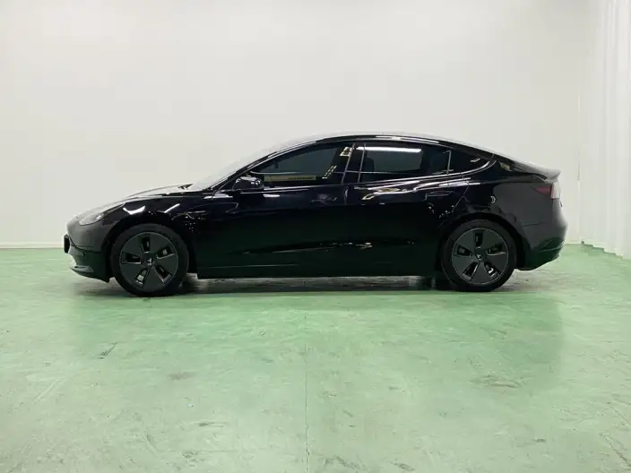 Model 3 2021 Model Standard Battery Life Rear Drive L Class Edition 3D6 – фото 4