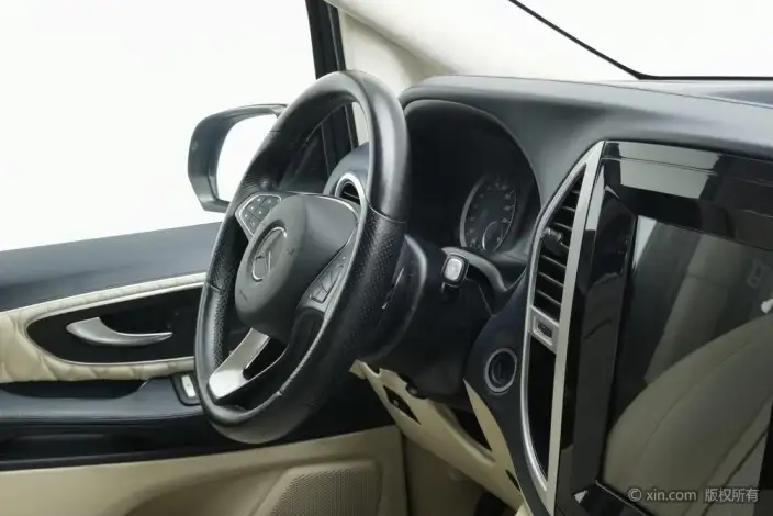 Viano 2020 Model 2.0T Business Edition 7 seat – фото 8