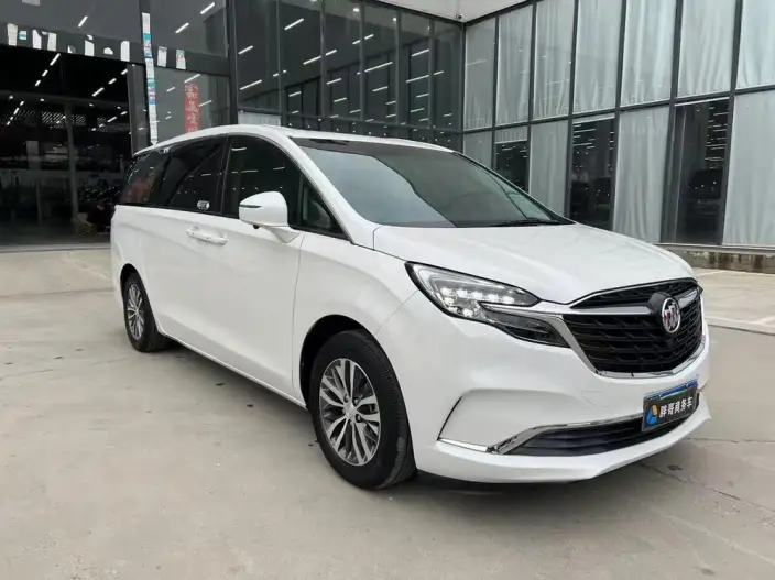 Buick GL8 2020 Model ES Luzun 653T Comfort Model – фото 3