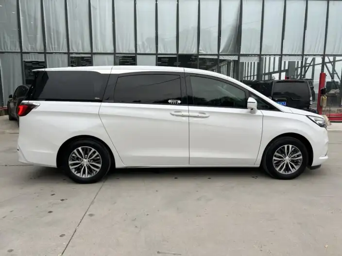 Buick GL8 2020 Model ES Luzun 653T Comfort Model – фото 4
