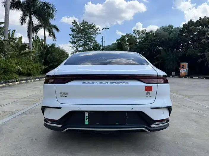 BYD Han DM 2022 Model DM-p 202KM 4WD Flagship Model – фото 6