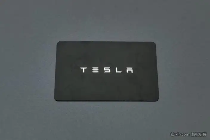 Model 3 2021 Model Standard Battery Life Rear Drive L Class Edition 3D6 – фото 4