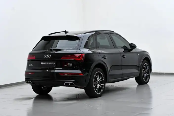 Audi Q5L 2026 Model quattro 45th Anniversary Collector Edition Edition 45TFSI Luxury Dynamic Model – фото 7
