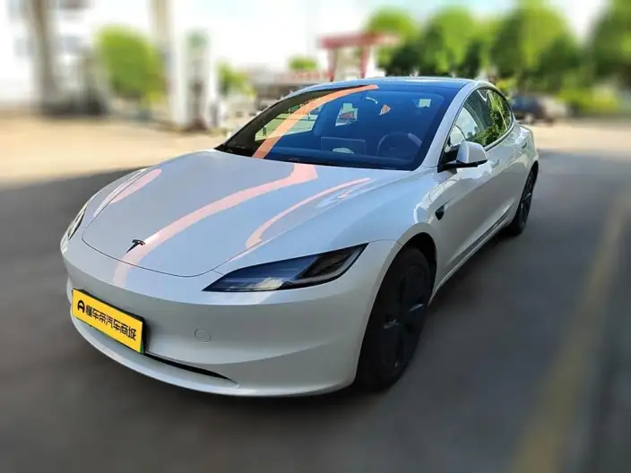 Model 3 2025 Model Facelift Long Battery Life Pro Rear-wheel drive version – фото 1