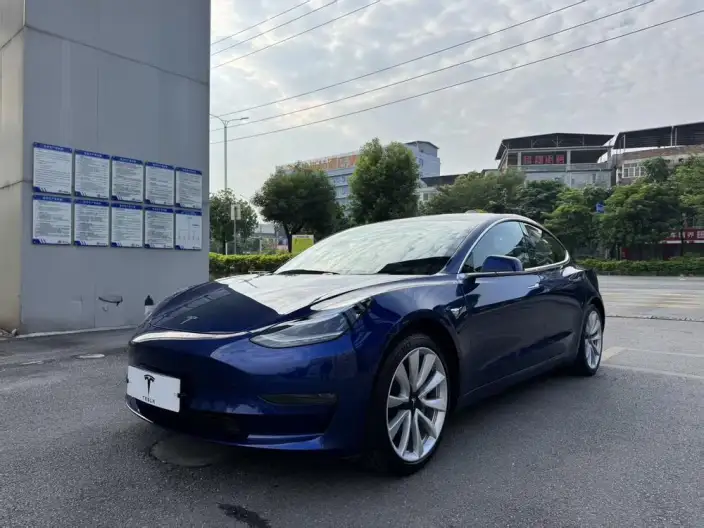 Model 3 2020 Model Long Battery Life Pro Rear-wheel drive version
