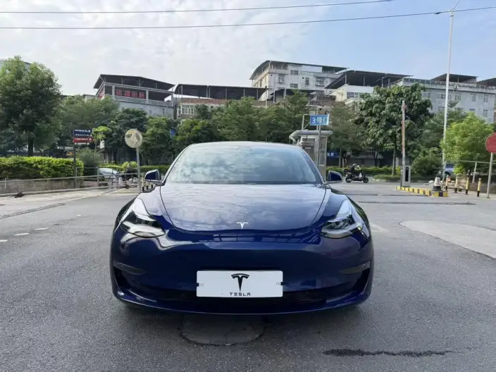 Model 3 2020 Model Long Battery Life Pro Rear-wheel drive version
