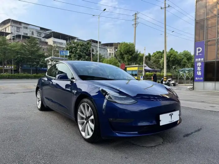 Model 3 2020 Model Long Battery Life Pro Rear-wheel drive version