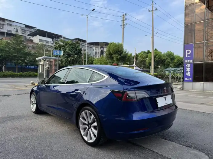Model 3 2020 Model Long Battery Life Pro Rear-wheel drive version – фото 5