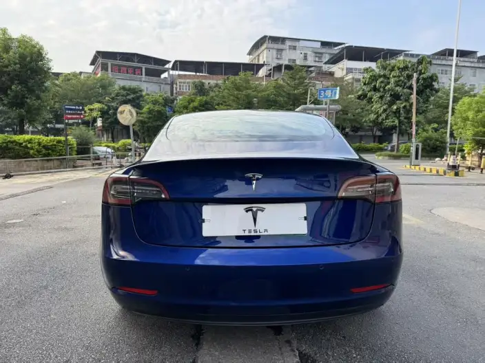 Model 3 2020 Model Long Battery Life Pro Rear-wheel drive version – фото 6