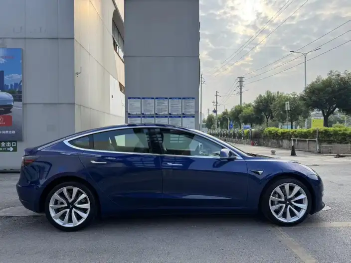 Model 3 2020 Model Long Battery Life Pro Rear-wheel drive version – фото 8