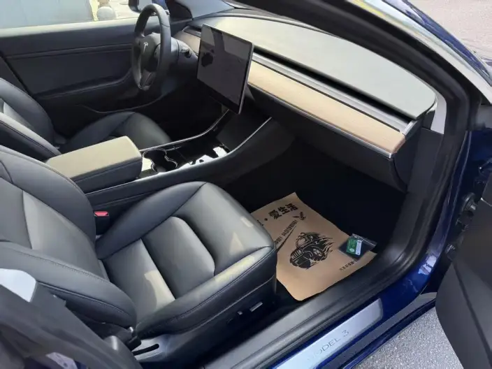 Model 3 2020 Model Long Battery Life Pro Rear-wheel drive version – фото 10