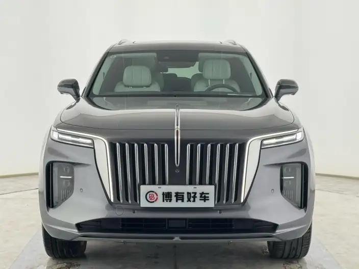 HONGQI E-HS9 2020 Model 460km Flag Xiang Edition VI seat