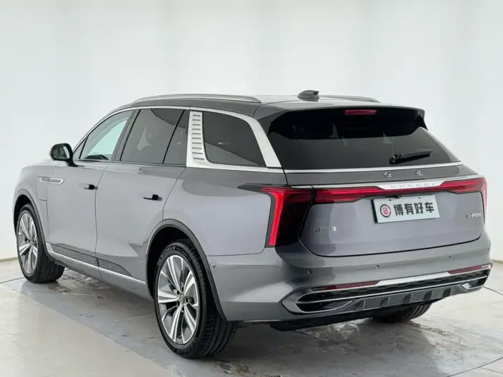 HONGQI E-HS9 2020 Model 460km Flag Xiang Edition VI seat – фото 5