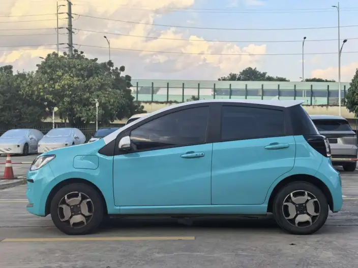 Sehol E10X 2021 Model 302km Luxury Model 30.2kWh
