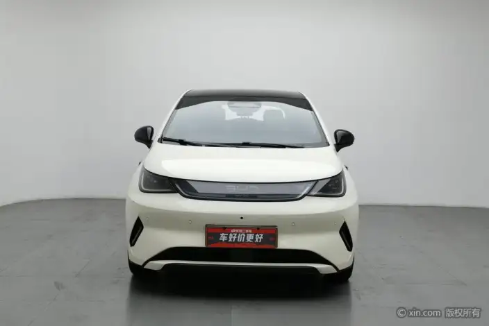 BYD Dolphin 2025 Model Smart Driving Edition 410KM Fashion Edition – фото 1