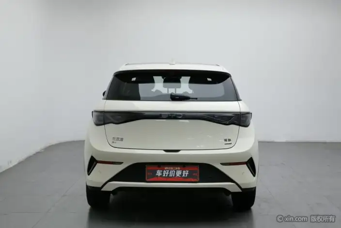 BYD Dolphin 2025 Model Smart Driving Edition 410KM Fashion Edition – фото 2