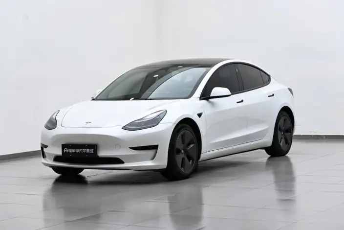 Model 3 2022 Model Rear-wheel drive version – фото 1
