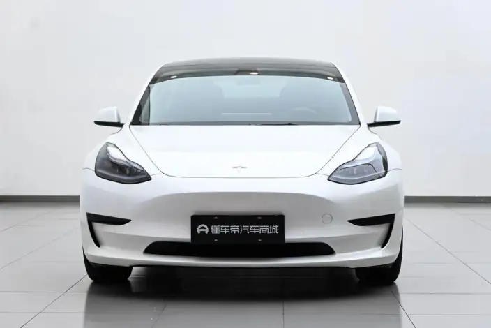Model 3 2022 Model Rear-wheel drive version – фото 2