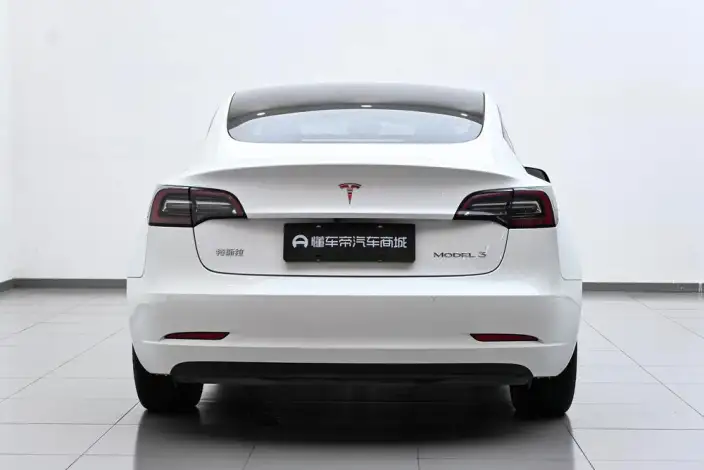 Model 3 2022 Model Rear-wheel drive version – фото 6