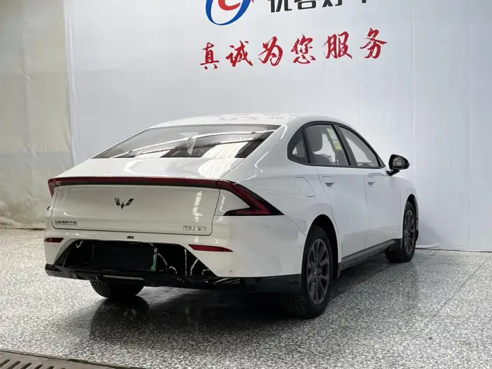 Wuling Xingguang PHEV 2025 Model 70km Smart Standard Model – фото 6