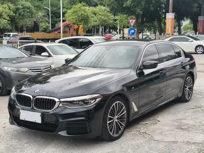 BMW 5 Series 2020 Model 530Li Exclusive Model M Sports Set – фото 1
