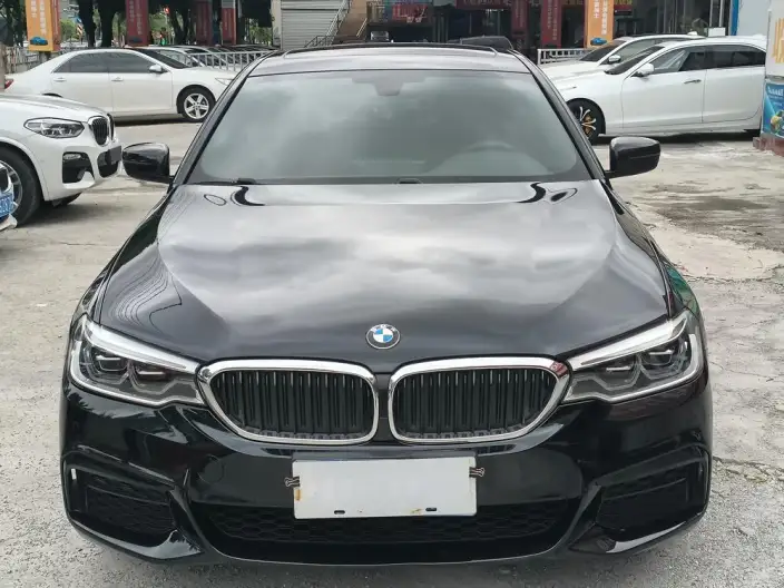 BMW 5 Series 2020 Model 530Li Exclusive Model M Sports Set – фото 2