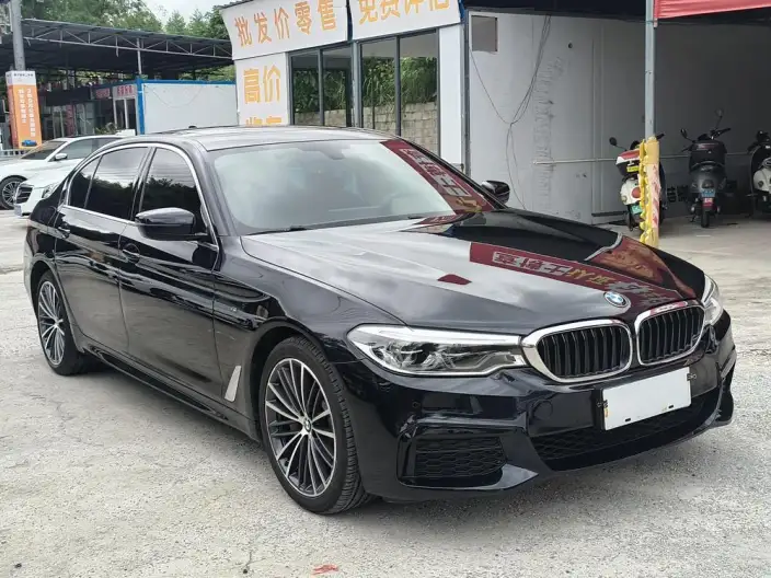 BMW 5 Series 2020 Model 530Li Exclusive Model M Sports Set – фото 3