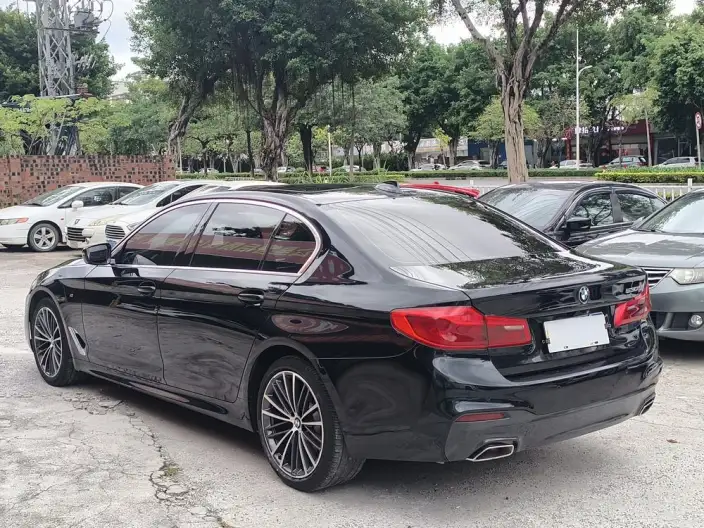 BMW 5 Series 2020 Model 530Li Exclusive Model M Sports Set – фото 5