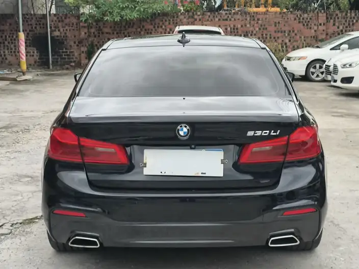 BMW 5 Series 2020 Model 530Li Exclusive Model M Sports Set – фото 6