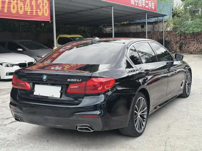 BMW 5 Series 2020 Model 530Li Exclusive Model M Sports Set – фото 7