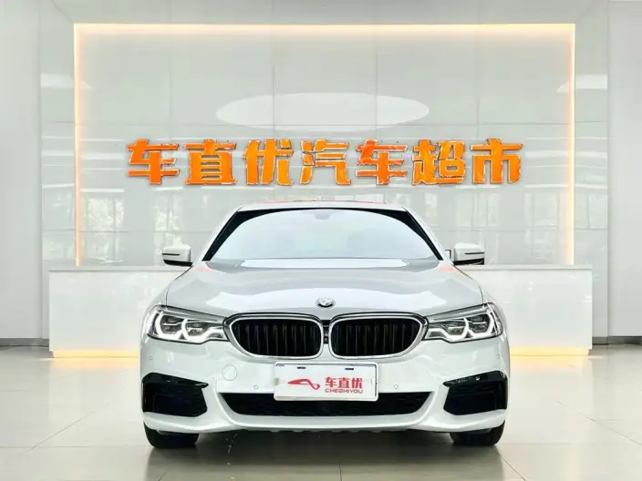 BMW 5 Series 2020 Model 530Li Exclusive Model M Sports Set – фото 2