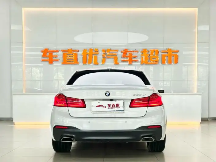 BMW 5 Series 2020 Model 530Li Exclusive Model M Sports Set – фото 4