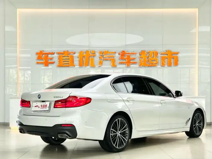 BMW 5 Series 2020 Model 530Li Exclusive Model M Sports Set – фото 5