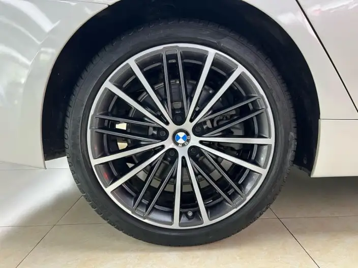 BMW 5 Series 2020 Model 530Li Exclusive Model M Sports Set – фото 6