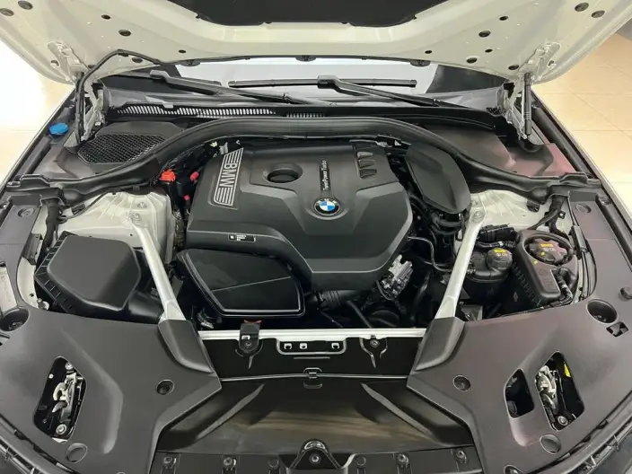 BMW 5 Series 2020 Model 530Li Exclusive Model M Sports Set – фото 7