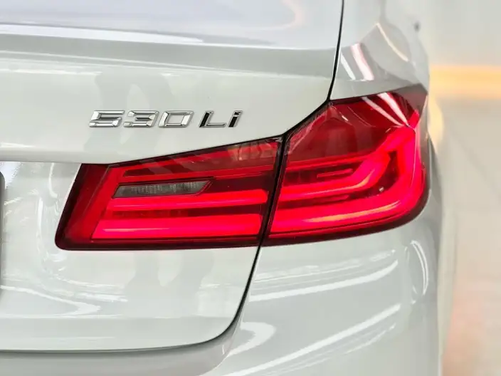 BMW 5 Series 2020 Model 530Li Exclusive Model M Sports Set – фото 8