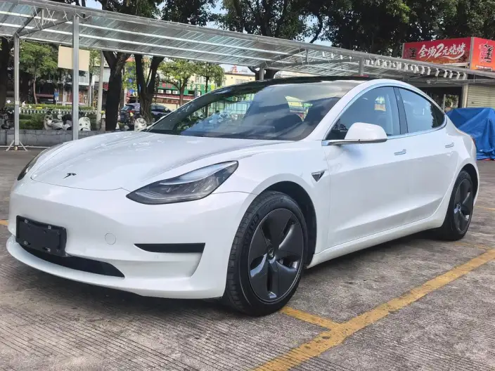 Model 3 2020 Model Standard Battery Life Rear Drive L Class Edition – фото 1