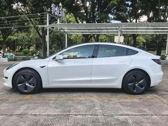 Model 3 2020 Model Standard Battery Life Rear Drive L Class Edition – фото 4