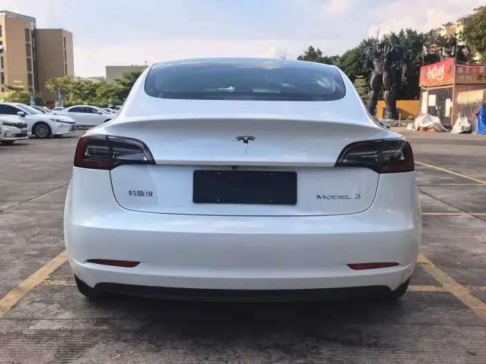 Model 3 2020 Model Standard Battery Life Rear Drive L Class Edition – фото 6