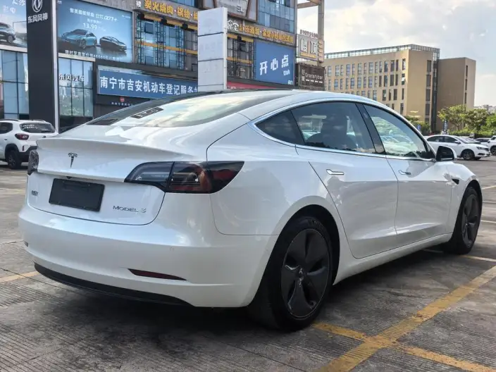Model 3 2020 Model Standard Battery Life Rear Drive L Class Edition – фото 7