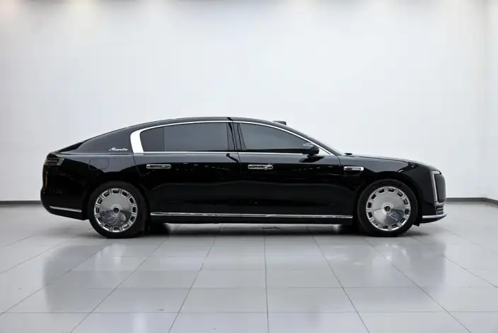 Zunjie S800 2025 Model Extended Range Starlight Executive Edition 4 seat – фото 8