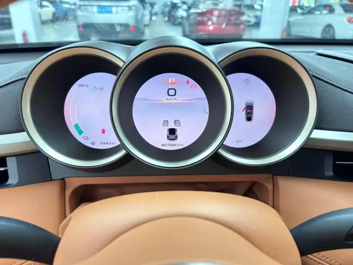 ORA Grand Cat 2022 Model 555km Premium Edition – фото 10